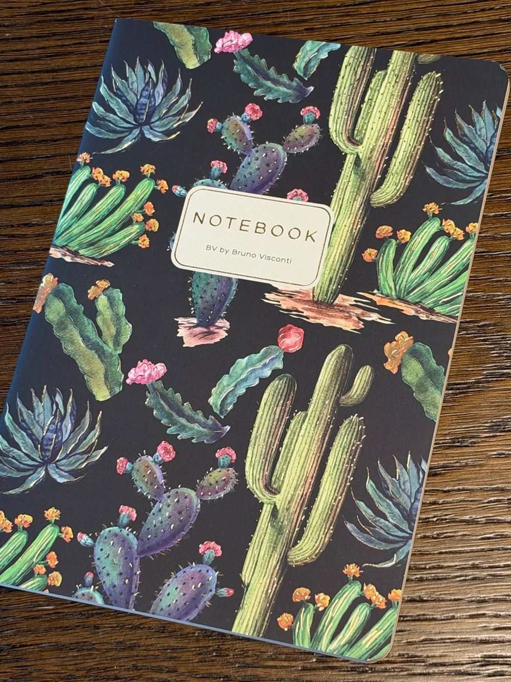 3 for $15 Bruno Visconti Soft Touch Cactus on Black Journal A5 NEW